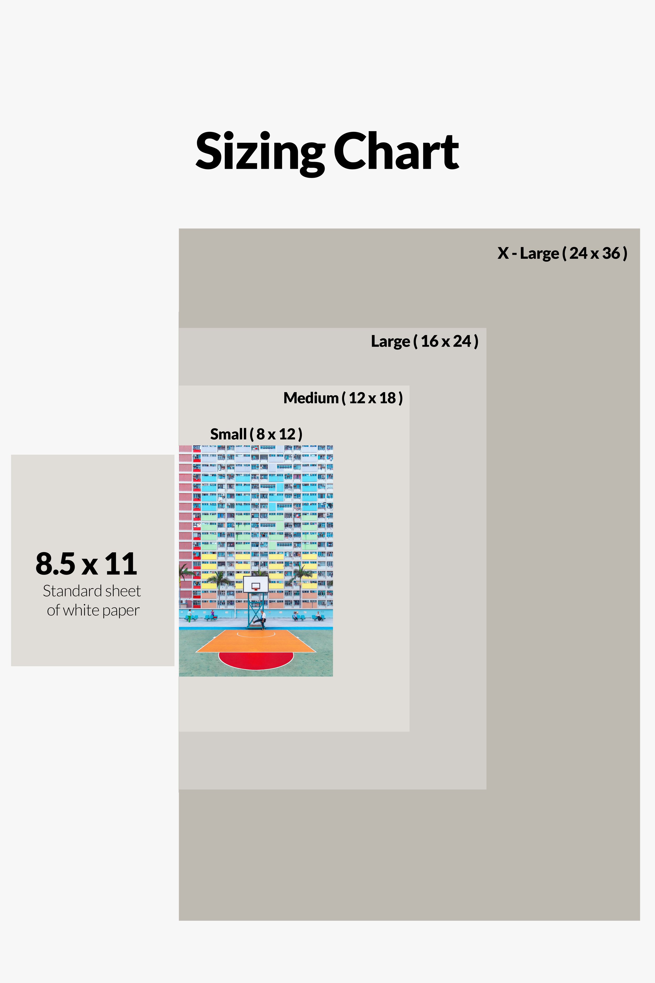 Chart Gallery スタンダード トレーダーズショップ : チャートギャラリー エキスパート （Windows対応）